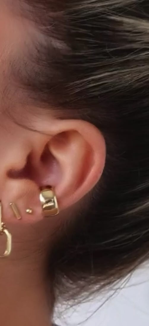 Golden Loops Earrings